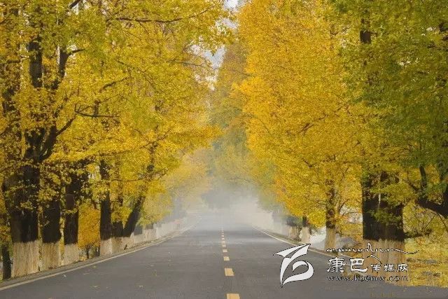 康定新都橋，有一條黃金大道通往夢(mèng)中的天堂