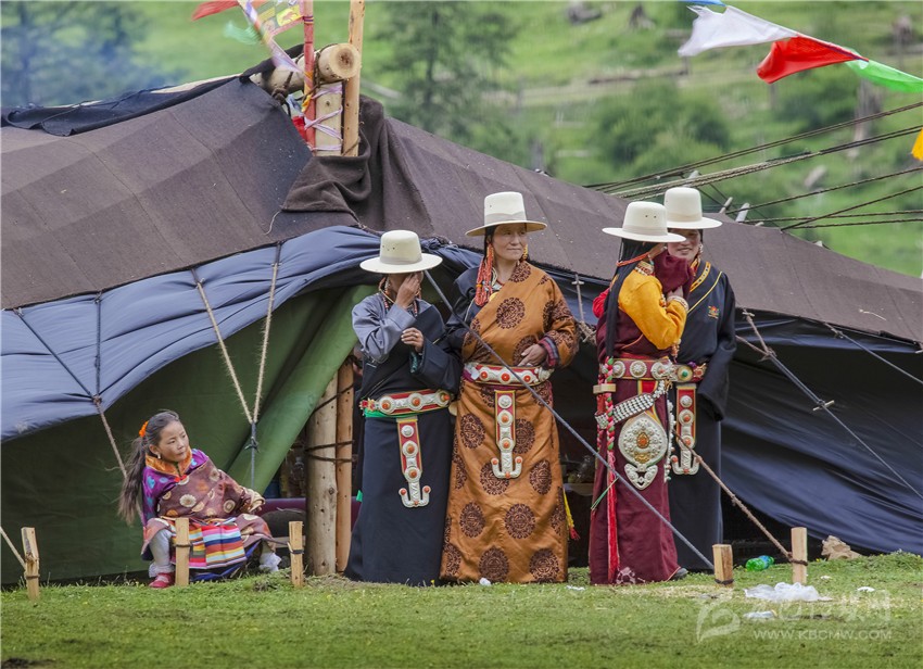 玉科草原的歡樂(lè)