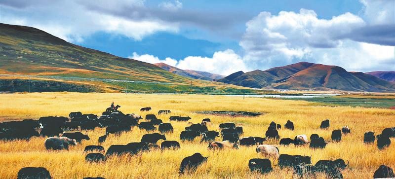 石渠縣宜牛鄉(xiāng).jpg 石渠縣宜牛鄉(xiāng).jpg