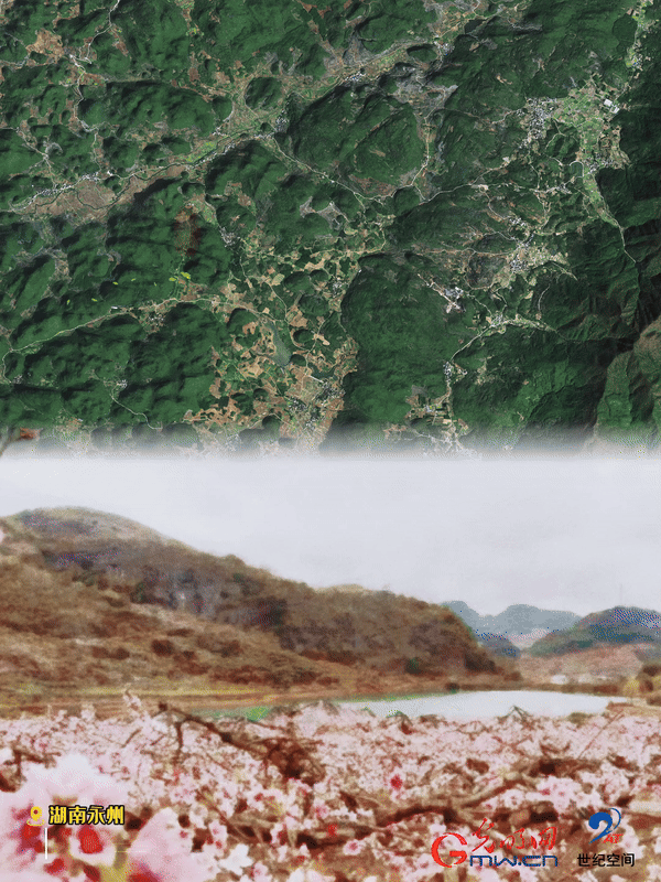 清明游玩賞花圖鑒來了！衛(wèi)星鏡頭帶你先睹為快